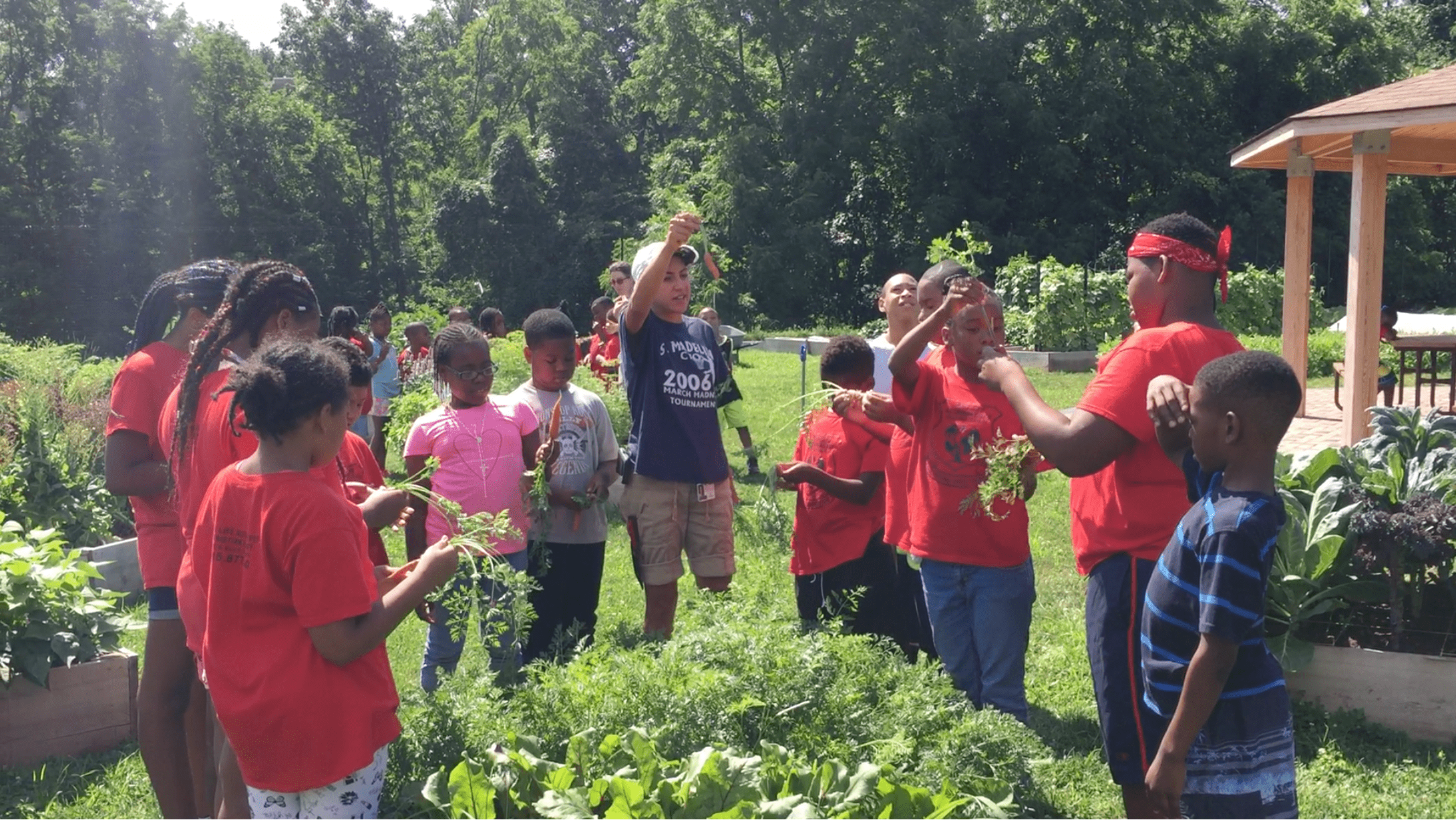 Deaver wellness farm