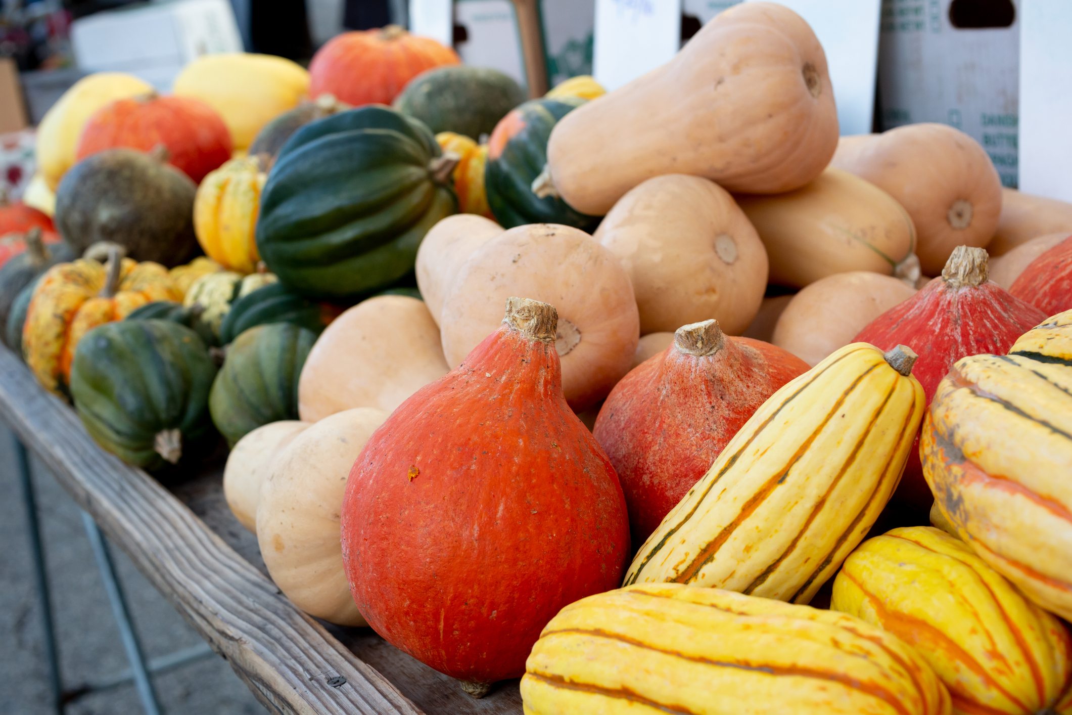 Squash varieties at store