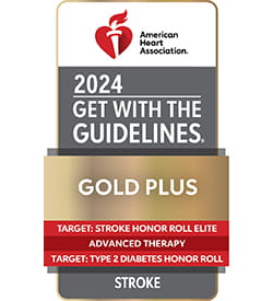 Get With The Guidelines®-Stroke Gold Plus with Target: Stroke Honor Roll Elite, Advanced Therapy and TT2D Honor Roll